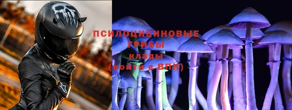 ешки Абинск